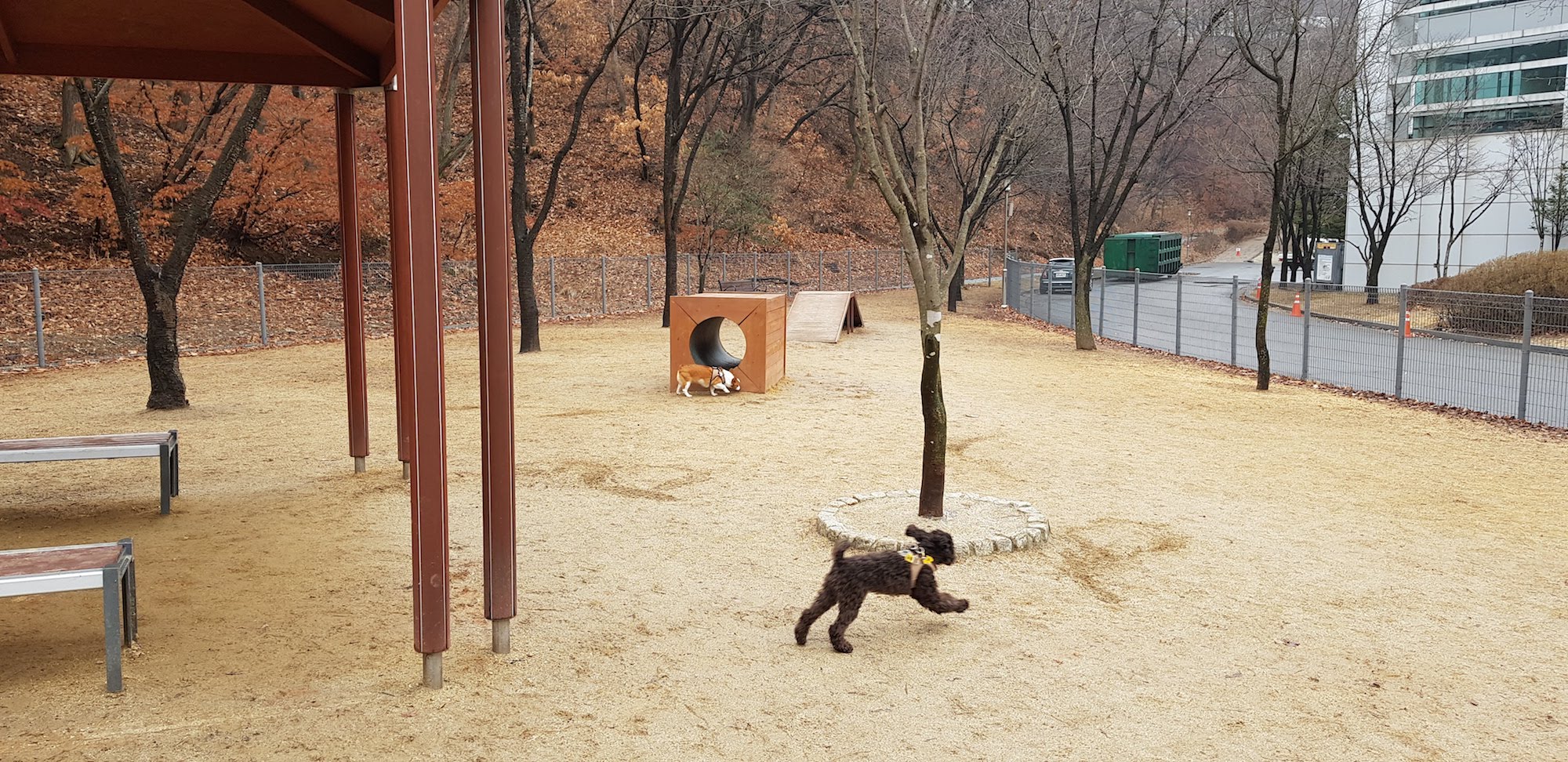 중.소형견 놀이터